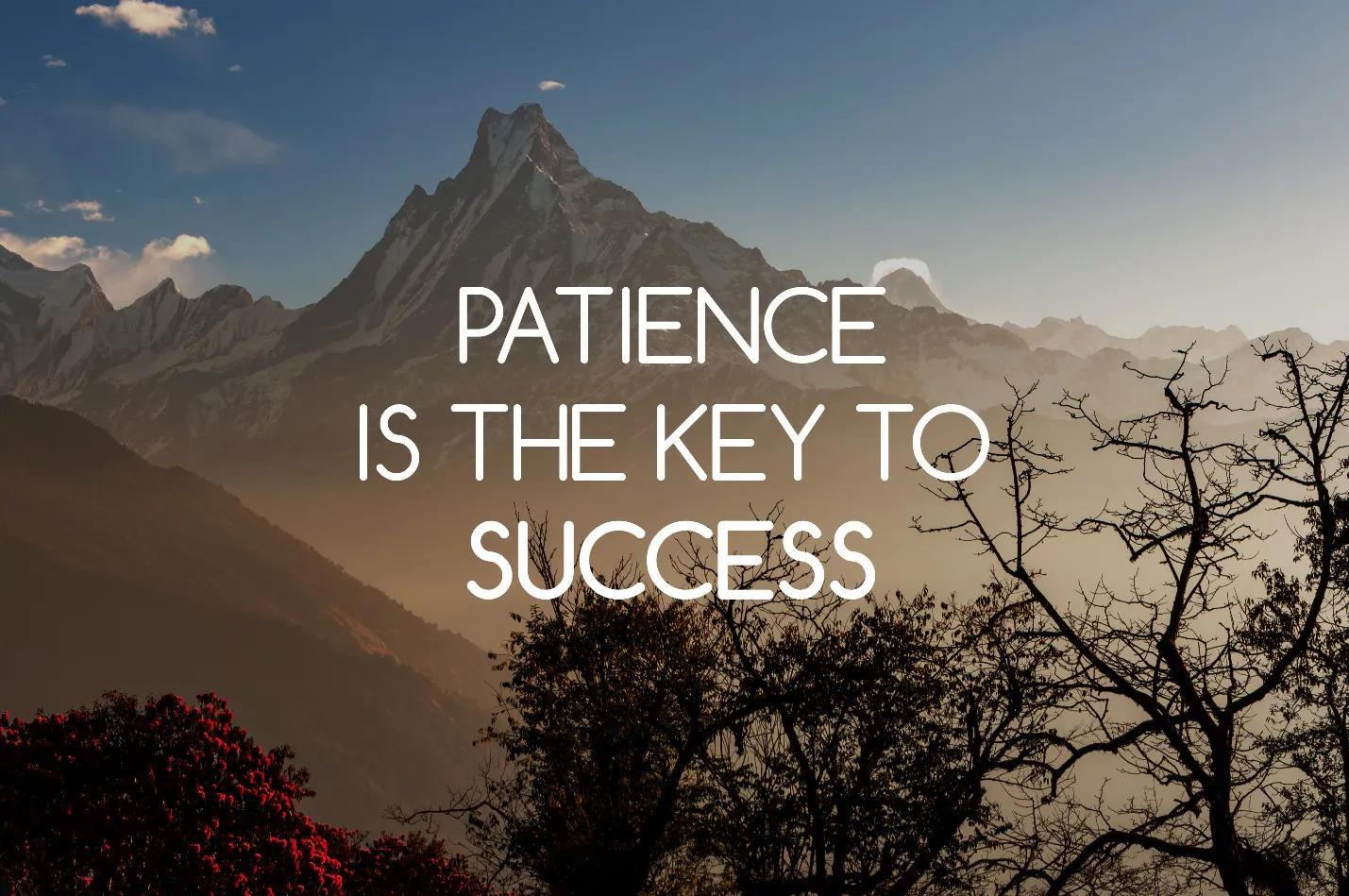 The Virtue of Patience: Unlocking the Door to Success