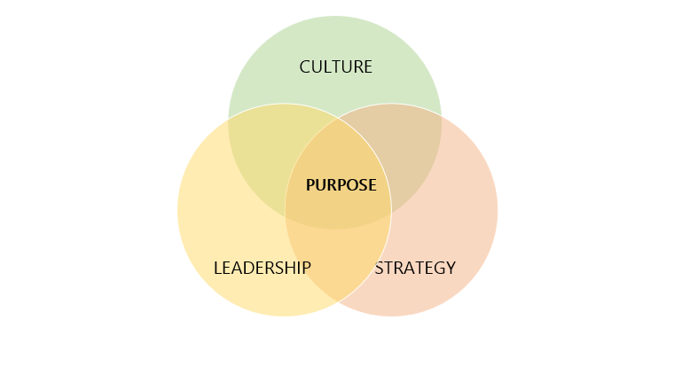 Aligning Purpose and Performance: The Role of Leadership in Inspiring Growth